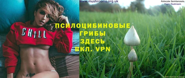 меф Белокуриха