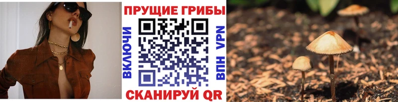 ОМГ ОМГ ссылки  Ворсма  Псилоцибиновые грибы MAGIC MUSHROOMS 